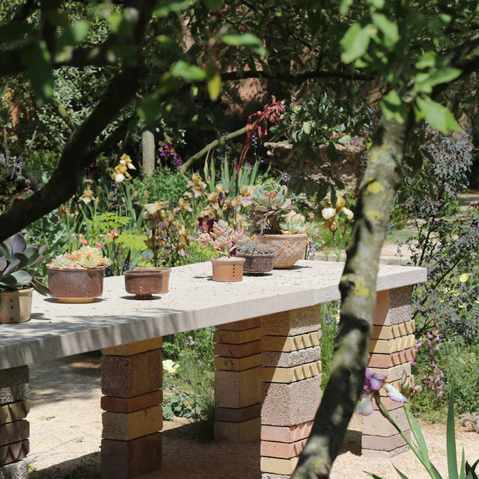 The Art of Landscaping Your Dream Outdoor Kitchen