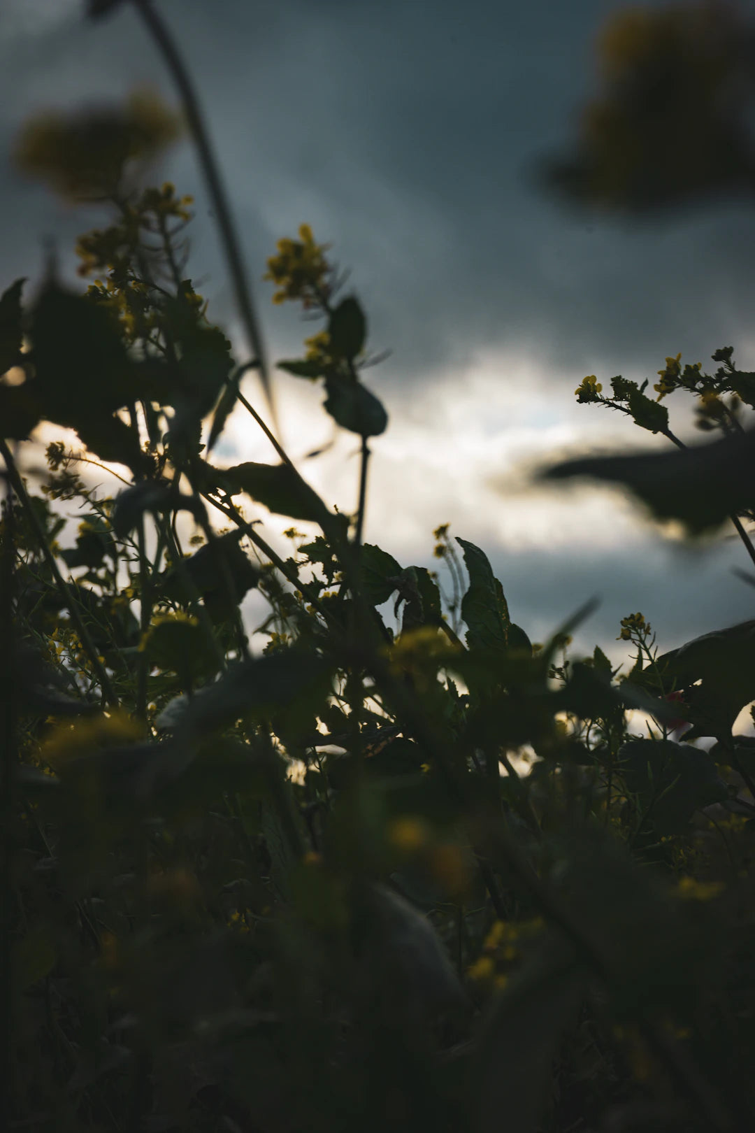 Weatherproofing Your Outdoor Kitchen Tips  Tricks