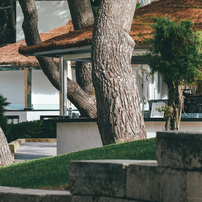 Transform Your Space Landscaping for Outdoor Kitchens