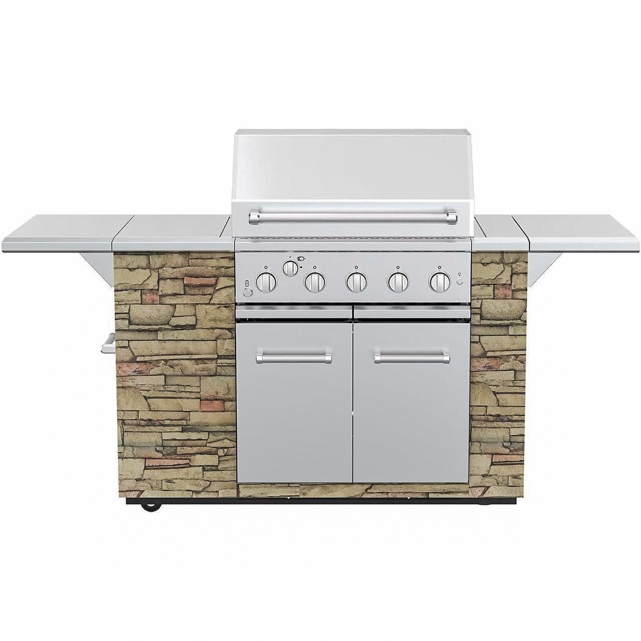 30 Inch BBQ Island Built In Gas Grill Head 5 Burner Rear Burner Propane Dual Fuel
