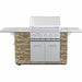 30 Inch BBQ Island Built In Gas Grill Head 5 Burner Rear Burner Propane Dual Fuel