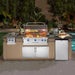 American Outdoor Grill L-Series 36-Inch Built-In Gas Grill (AOG-36NBL)